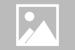 布鲁克林篮网集结日迎来里程碑，志在欧联名次提升，态度坚定，轮换策略成焦点的简单介绍